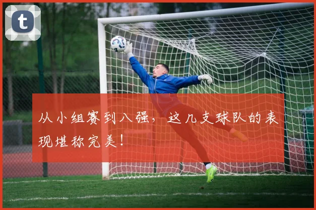 从小组赛到八强,这几支球队的表现堪称完美!