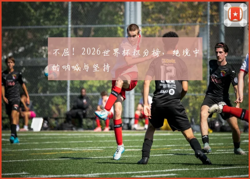 不屈!2026世界杯积分榜,绝境中的呐喊与坚持